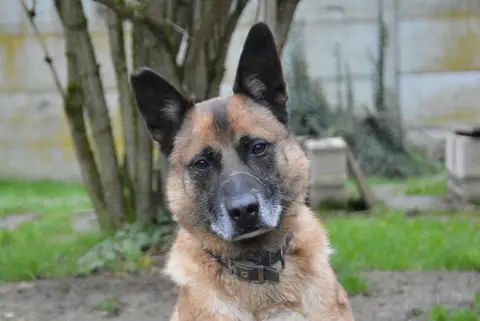 MAX VAA photo 2