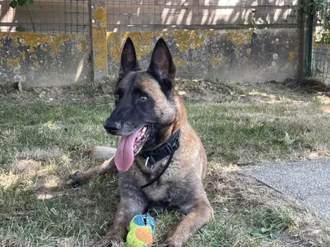 JUNIOR