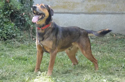 MALOÏ photo 4