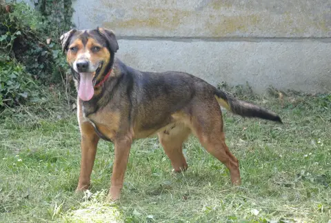 MALOÏ photo 5