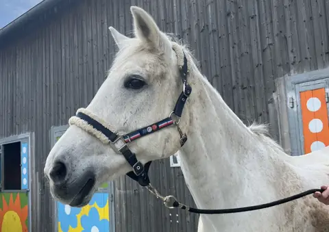 FJORDI