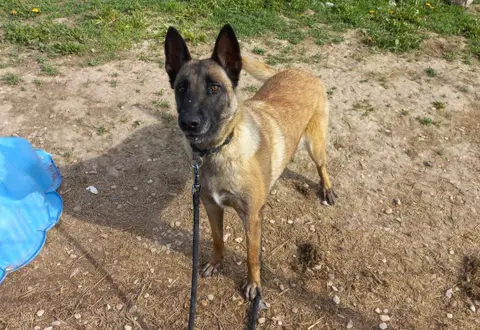 LAIKA