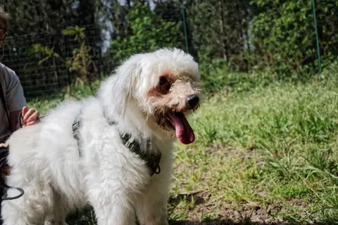 PORTOS photo 4
