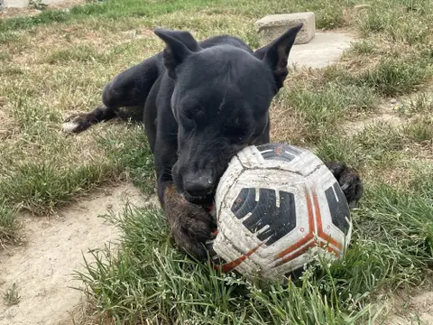 XENA photo 10