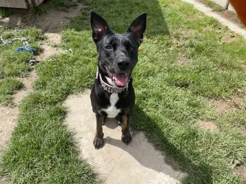 XENA photo 2