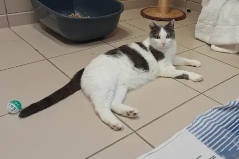 Sacha