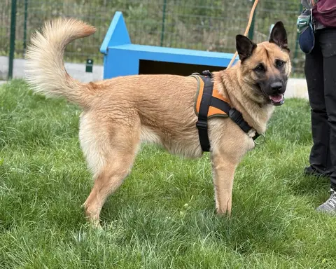 NALA photo 2