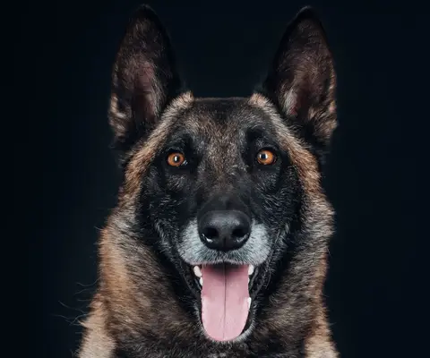 NASKO photo 3