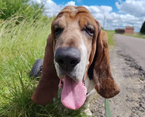 NEWTON