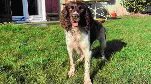 NELL photo 3