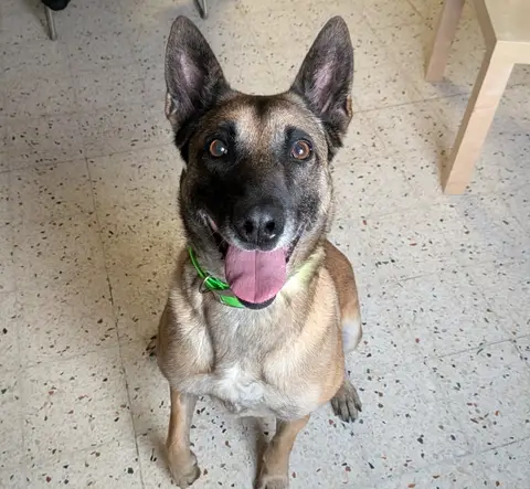 FIFI photo 3