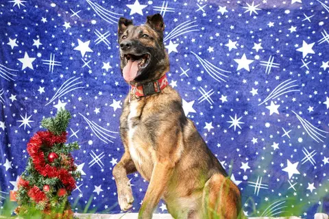 Yoshi photo 5