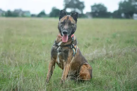 Yoshi photo 9