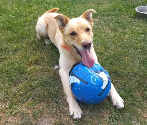 Chico