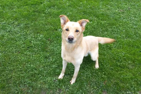 Chico photo 2