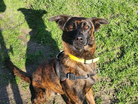 REX photo 2