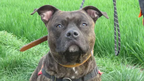 NASH
