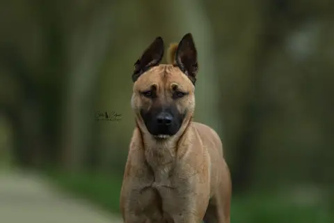 Riley