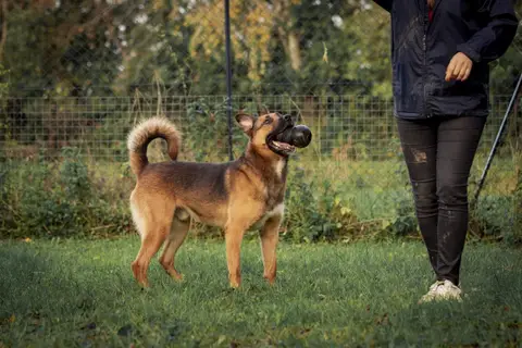 Rocket photo 3