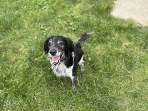 TOBY photo 3