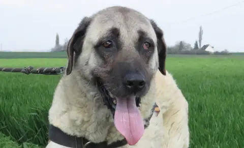 NILLA (Réservée)