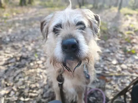 DJANGO