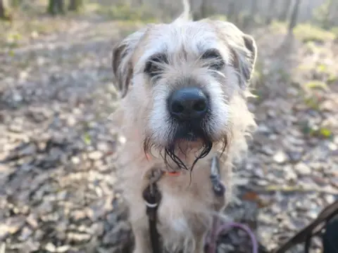DJANGO photo 2