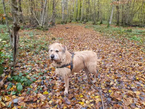 DJANGO photo 4
