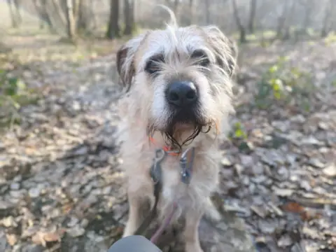 DJANGO photo 8