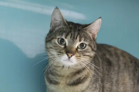 bianca