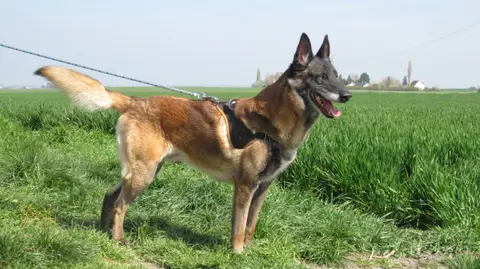 SULLY photo 5