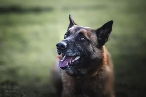 THOR CHAO