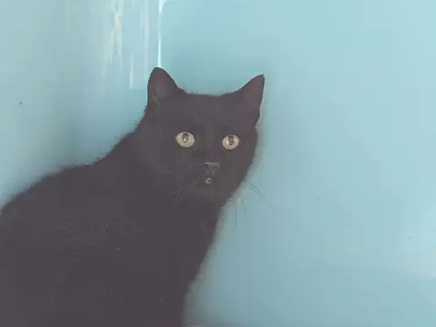 NOUGATI