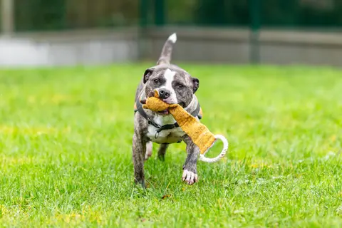 MAX photo 4
