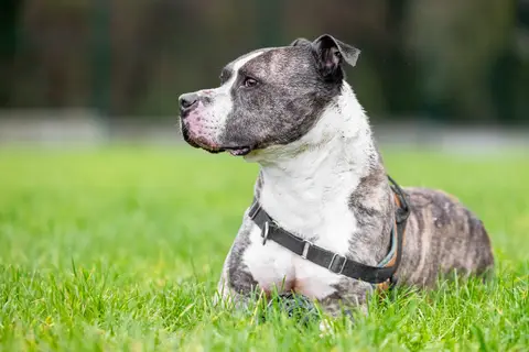 MAX photo 6