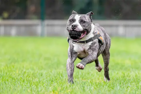 MAX photo 7