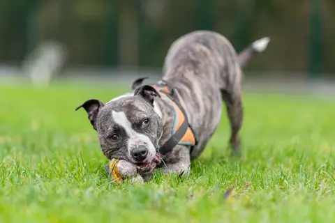 MAX photo 9