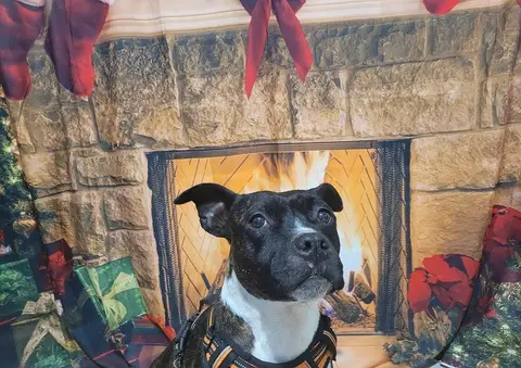 ORIA (réservée) photo 4