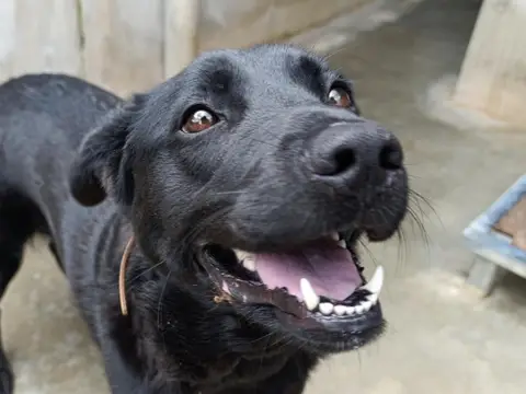 Vicky photo 2