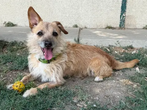 MONCAILLOU