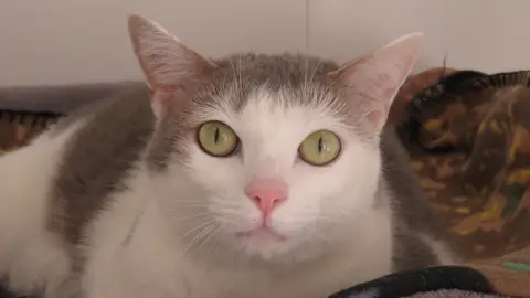 TSUKI