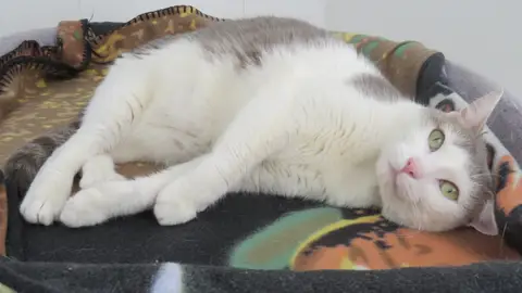 TSUKI photo 2