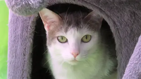 TSUKI