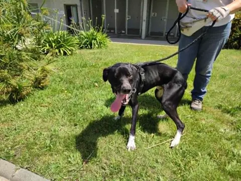 BOUNTY QCN