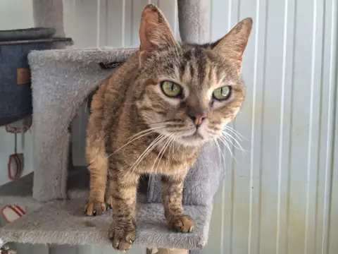 Léa photo 2
