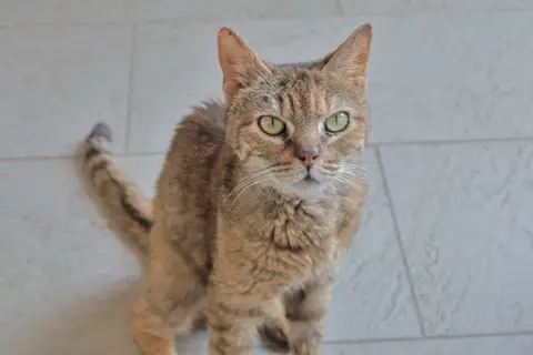 Léa