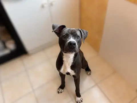 AÏKO