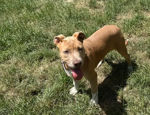 luna photo 2