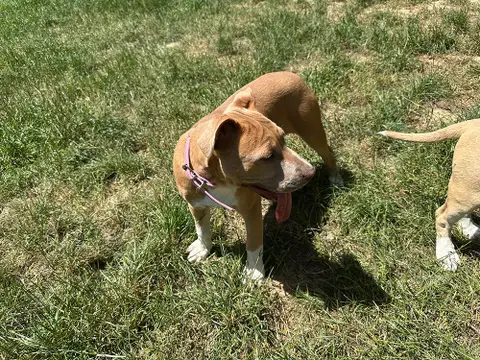 luna photo 4