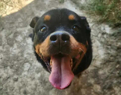 KIARA